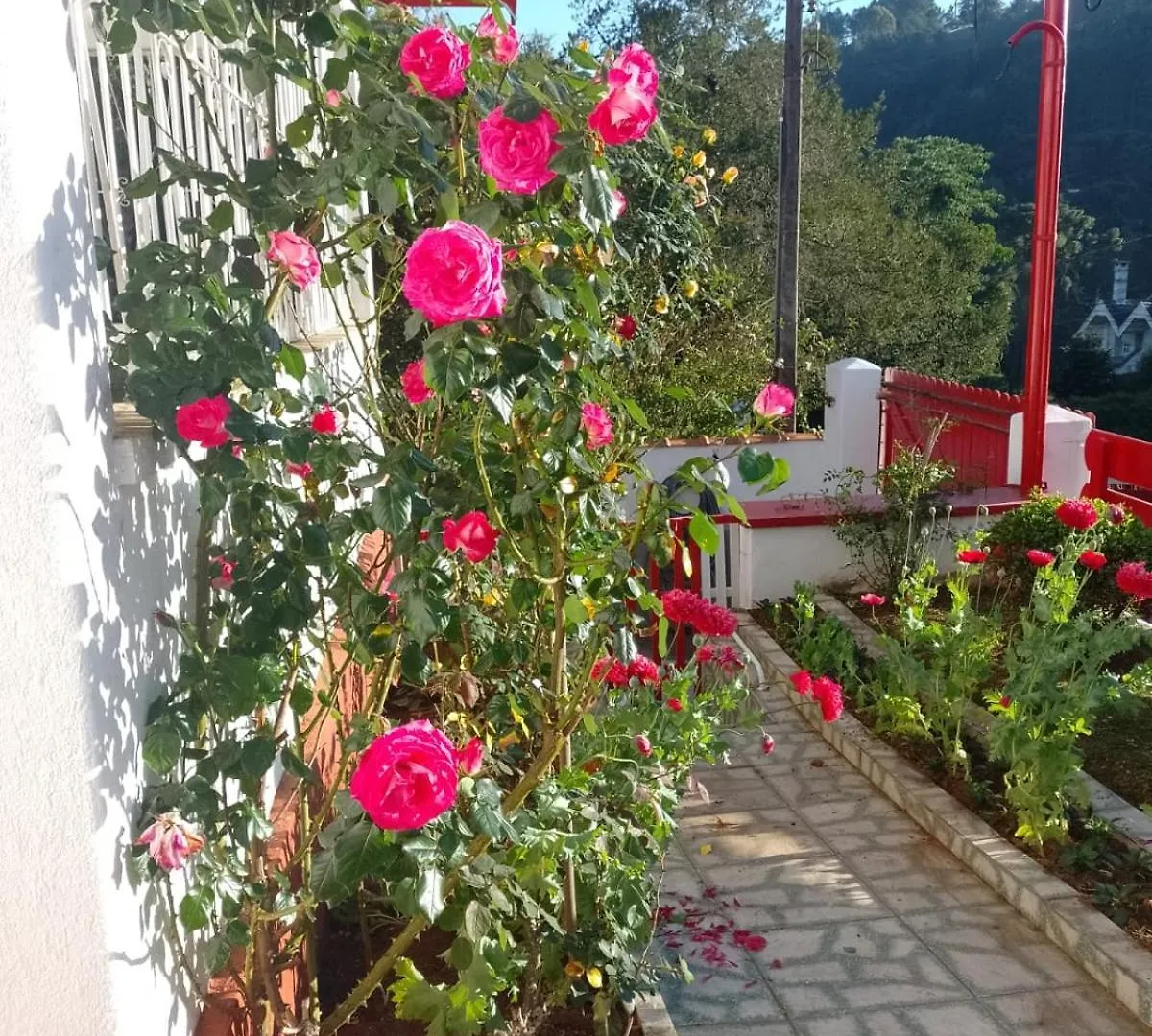 Hospedagem Virginia Bracelli Campos do Jordao